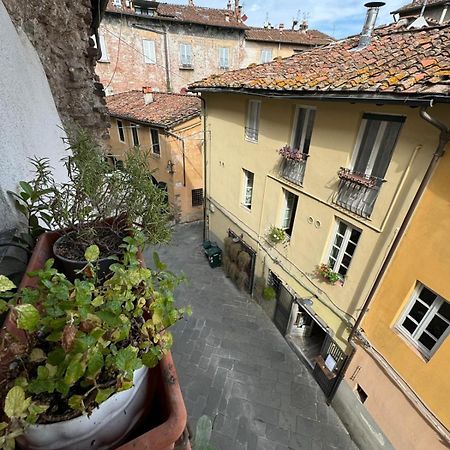 Micheli Suite Anfiteatro Square Lucca Eksteriør billede